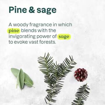 ATTITUDE Liquid Hand Soap, EWG Verified, Plant and Mineral-Based, Vegan Personal Care Products, Pine & Sage, 16 Fl Oz