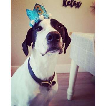 PET SHOW Blue Crown Dog Birthday Party Hat for Boys Male Pets Birthday Party Cat Headband Hats with Figures 0-9 Charms with Glue Party Accessories Pack of 1