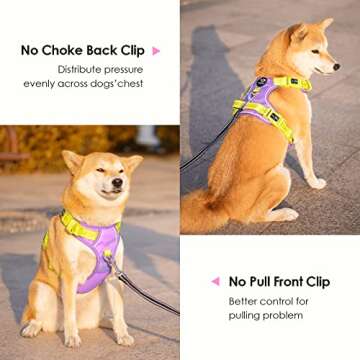 PHOEPET No Pull Dog Harness, Unique Colors Reflective Adjustable Dog Vest, with Soft Training Handle Metal Clips for Small Medium Large Dogs (Baby Purple Base & Yellow Straps,M)
