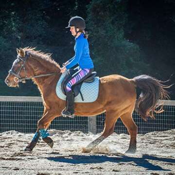 Wild Scrumpy Horse Riding Jodhpur Tights with Silicone, Pockets, and Mesh - Purple Stripes (US 6)