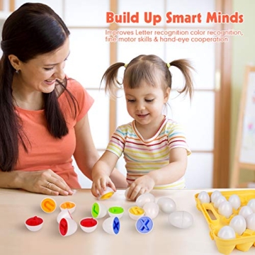 Educational Matching Eggs for Kids – Fun Learning Toy