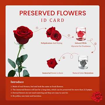 IVWVI Preserved Rose - Gifts for Her,16 PCS Preserved Flowers Immortal Roses Regalos para Mama Mom Gifts Women Gifts for Christmas Eternal Rose Valentines Day Gifts Girlfriend Gifts Grandma Gifts