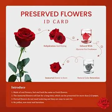 IVWVI Preserved Rose - Gifts for Her,16 PCS Preserved Flowers Immortal Roses Regalos para Mama Mom Gifts Women Gifts for Christmas Eternal Rose Valentines Day Gifts Girlfriend Gifts Grandma Gifts