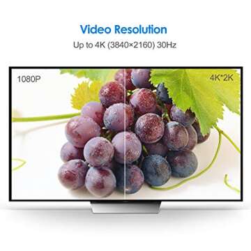 Rankie DisplayPort (DP) to HDMI Cable, 4K Resolution Ready, 6 Feet (Black)