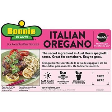 Bonnie Plants Pet Friendly 4-Pack Catnip and Herbs