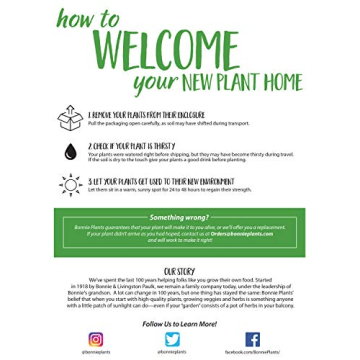 Bonnie Plants Pet Friendly 4-Pack Catnip and Herbs