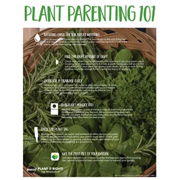 Bonnie Plants Pet Friendly 4-Pack Catnip and Herbs