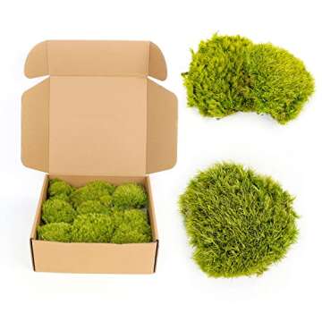 1.5sq. Ft Preserved Moss Pole Moss Pillow Moss Colored Decorative Moss for Moss Crafts, Art DIY, Wal...