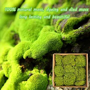 1.5sq. Ft Preserved Moss Pole Moss Pillow Moss Colored Decorative Moss for Moss Crafts, Art DIY, Wall Decor (Yellow Green)