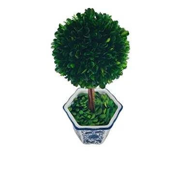 Galt International Preserved Boxwood Topiary - Elegant Greenery