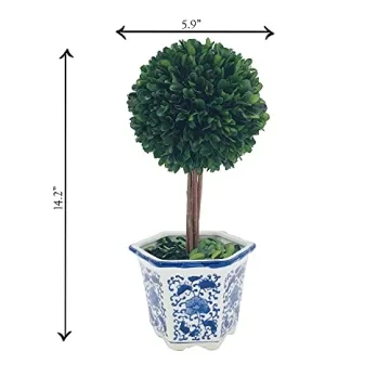 Galt International Preserved Boxwood Topiary - Elegant Greenery