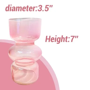 BLOFLO Pink Glass Hydroponic Vase for Modern Décor
