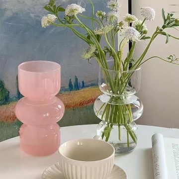 BLOFLO Pink Glass Hydroponic Vase for Modern Décor