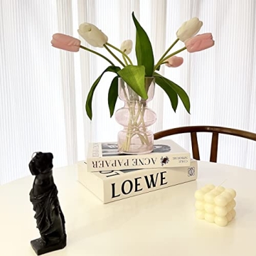 BLOFLO Pink Glass Hydroponic Vase for Modern Décor