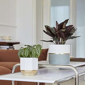 LA Jolie Muse White Ceramic Flower Pot Garden Planters 6.7 Inch Pack 2 Indoor Plant Containers with Gold and Grey Detailing