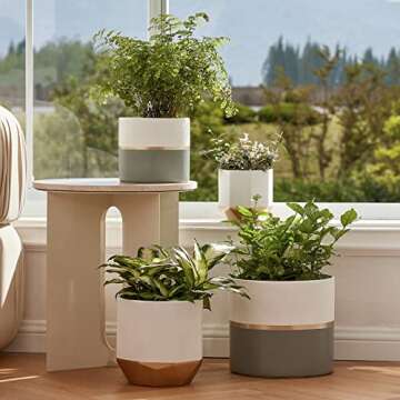 LA Jolie Muse White Ceramic Flower Pot Garden Planters 6.7 Inch Pack 2 Indoor Plant Containers with Gold and Grey Detailing