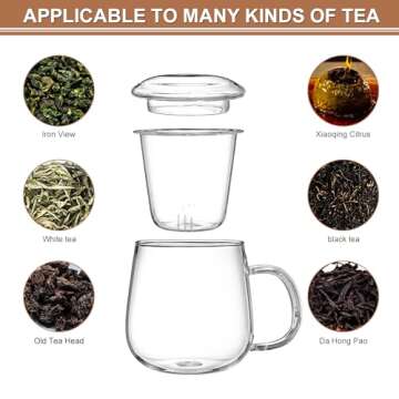 Dinana Large Tea Cup/Mug, Glass Tea Cup with Infuser and Lid, Borosilicate Glass Tea Mugs for Loose Leaf Tea,Glass Tea Cups with Filter for Black Tea,Great Loose Tea-leaf Brewing System,500ml (17oz)