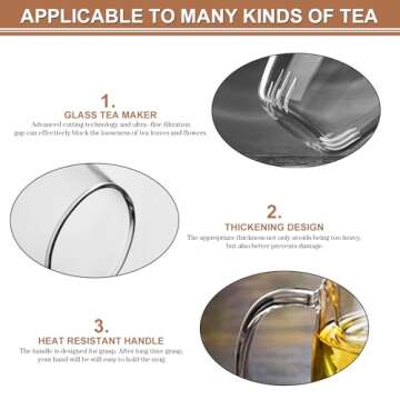 Dinana Large Tea Cup/Mug, Glass Tea Cup with Infuser and Lid, Borosilicate Glass Tea Mugs for Loose Leaf Tea,Glass Tea Cups with Filter for Black Tea,Great Loose Tea-leaf Brewing System,500ml (17oz)
