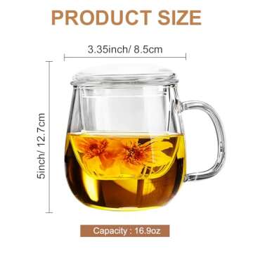 Dinana Large Tea Cup/Mug, Glass Tea Cup with Infuser and Lid, Borosilicate Glass Tea Mugs for Loose Leaf Tea,Glass Tea Cups with Filter for Black Tea,Great Loose Tea-leaf Brewing System,500ml (17oz)