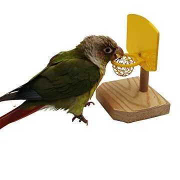 QBLEEV Bird Basketball Toy, Bird Chew Ball Foraging Toys, Parrot Activity Toys, Bird Training Gym Toys