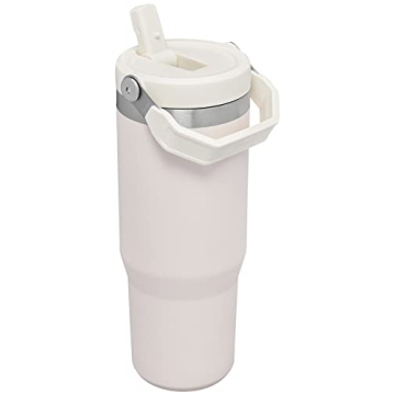 Stanley IceFlow Tumbler with Straw - Leak Resistant
