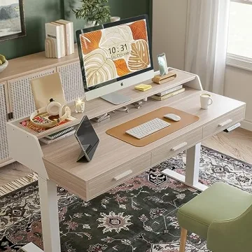 FEZIBO Electric Standing Desk Adjustable Height with Drawers