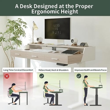 FEZIBO Electric Standing Desk Adjustable Height with Drawers
