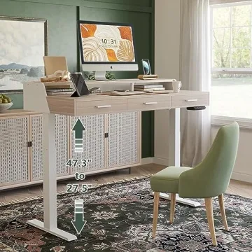 FEZIBO Electric Standing Desk Adjustable Height with Drawers