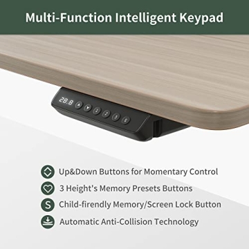 FEZIBO Electric Standing Desk Adjustable Height with Drawers