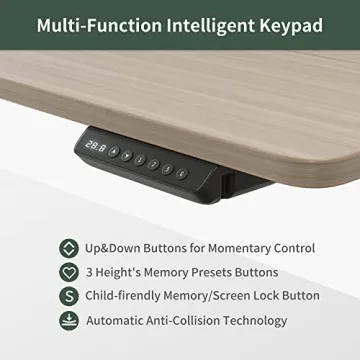 FEZIBO Electric Standing Desk Adjustable Height with Drawers
