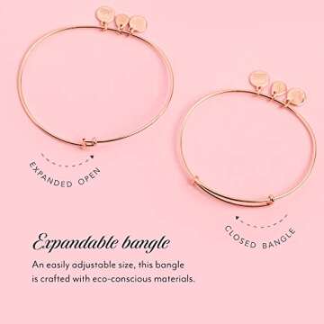 Alex and Ani Path of Symbols Expandable Bangle for Women, Evil Eye and Sodalite Charm, Rafaelian Gold Finish, 2 to 3.5 in