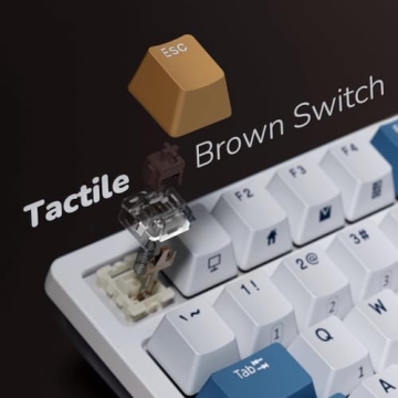 RK ROYAL KLUDGE RK98 Wireless Mechanical Keyboard