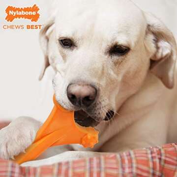 Nylabone Power Chew Axis Bone Chew Toy for Dogs, Dog Toys for Aggressive Chewers, Bacon Flavor, X-La...