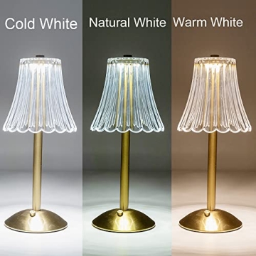 Stylish HEQET Cordless Rechargeable Table Lamps