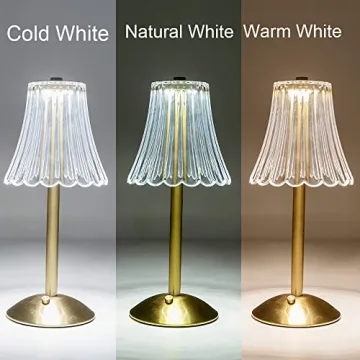 Stylish HEQET Cordless Rechargeable Table Lamps