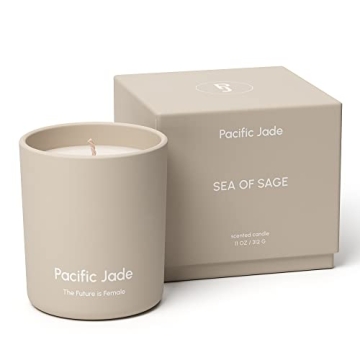 PACIFIC JADE Hand Poured 100% Natural Soy Candle 11oz - Luxury Fragrance in Matte Glass for Home or ...