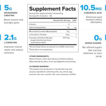 Legion Recharge Post Workout Supplement - All Natural Muscle Builder & Recovery Drink With Creatine ...