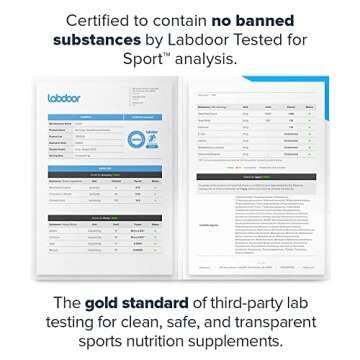 Legion Recharge Post Workout Supplement - All Natural Muscle Builder & Recovery Drink With Creatine Monohydrate. Naturally Sweetened & Flavored, Safe & Healthy. 60 Servings. (Fruit Punch, 60 Servings)