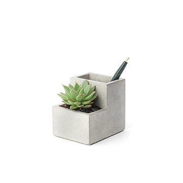 Kikkerland Concrete Desktop Planter - Small Modern Decor
