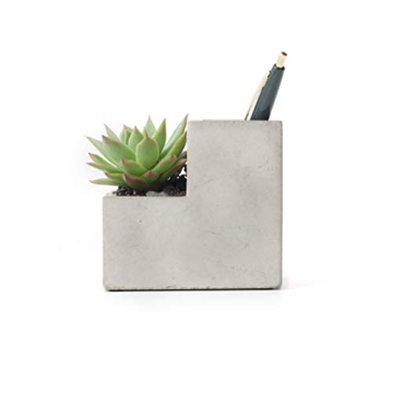 Kikkerland Concrete Desktop Planter - Small Modern Decor