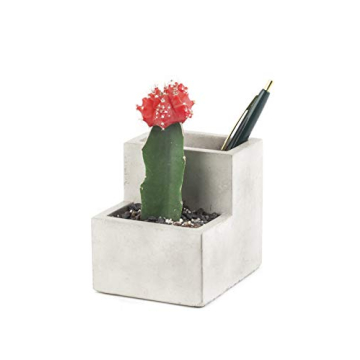 Kikkerland Concrete Desktop Planter - Small Modern Decor