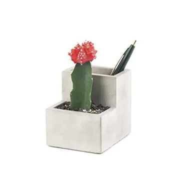 Kikkerland Concrete Desktop Planter - Small Modern Decor