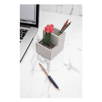 Kikkerland Concrete Desktop Planter - Small Modern Decor