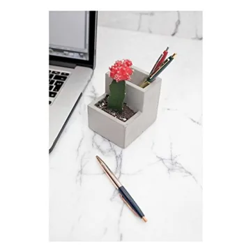 Kikkerland Concrete Desktop Planter - Small Modern Decor