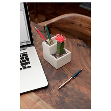 Kikkerland Concrete Desktop Planter - Small Modern Decor
