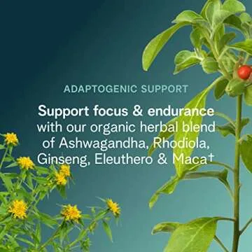 Ora Organic Pre Workout Powder for Men and Women Berry Beet Flavor- Vegan Certified Organic, Soy-Free, Dairy-Free, Gluten-Free- Provides Jitter-Free Energy Boost for Women & Men, 20 Servings