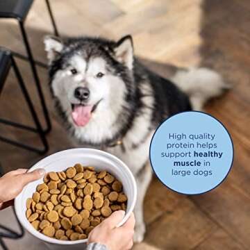 Natural Balance Dry Dog Food Limited Ingredient for Large Breeds