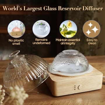 Elegant Glass Dome Essential Oil Diffuser with 7 Color Lights