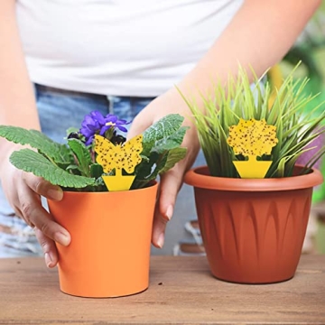40 Pack Yellow Fungus Gnat Traps for Indoor Plants