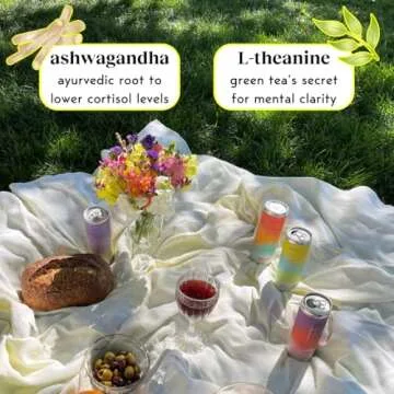 Moment Botanical Soda - Sparkling Non-Alcoholic Adaptogen Drink